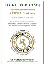 Carica l'immagine nel visualizzatore di Gallery, Olio EVO - Le Rose - 500ml - NUOVO RACCOLTO 2025 - MONOVARIETALE CANINESE PLURIPREMIATO - Frantoio Presciuttini