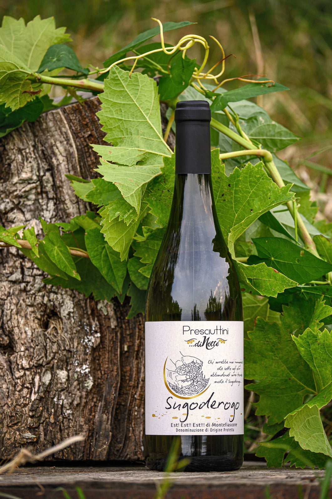 Vino BIANCO EST!EST!!EST!!! di MONTEFIASCONE - SUGODEROGO 2024